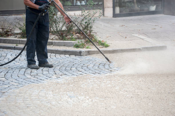 Best Fence Cleaning  in West Rancho Dominguez, CA