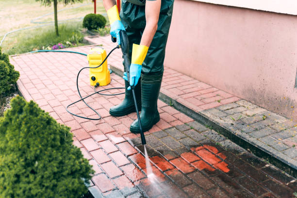 Best Driveway Pressure Washing  in West Rancho Dominguez, CA