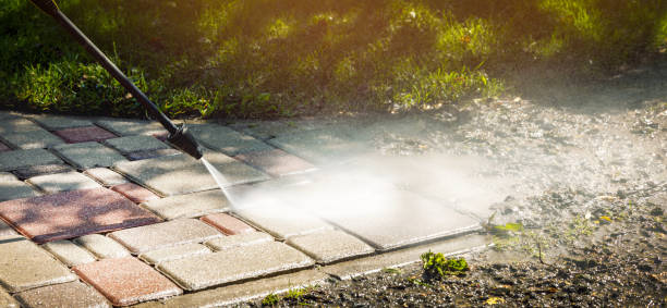 Best Animal Enclosure Cleaning  in West Rancho Dominguez, CA